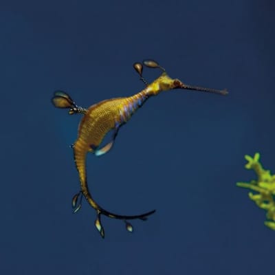 @groot on DeHub — posts, videos & profile