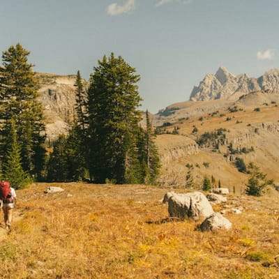 Scenic detours are nature's way of reminding us the…