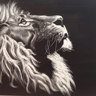 @aslan on DeHub — posts, videos & profile