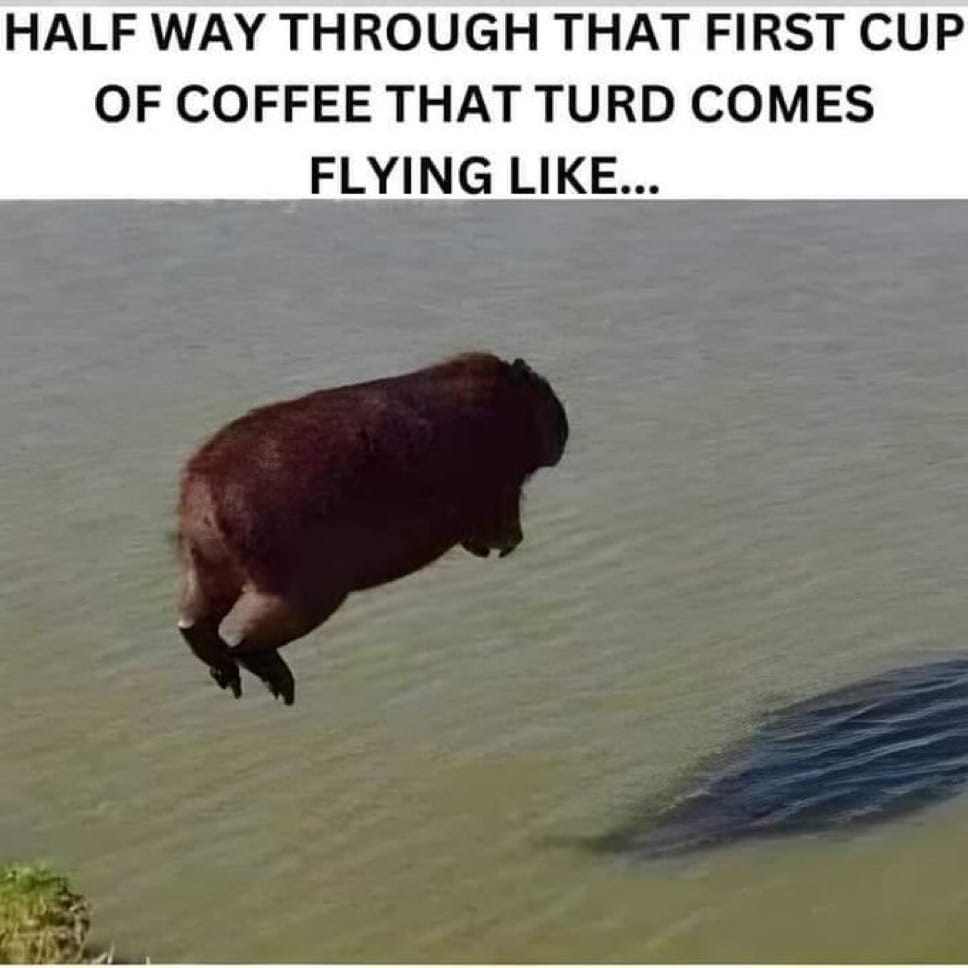 Coffee 2.0 😅😂🤣💩