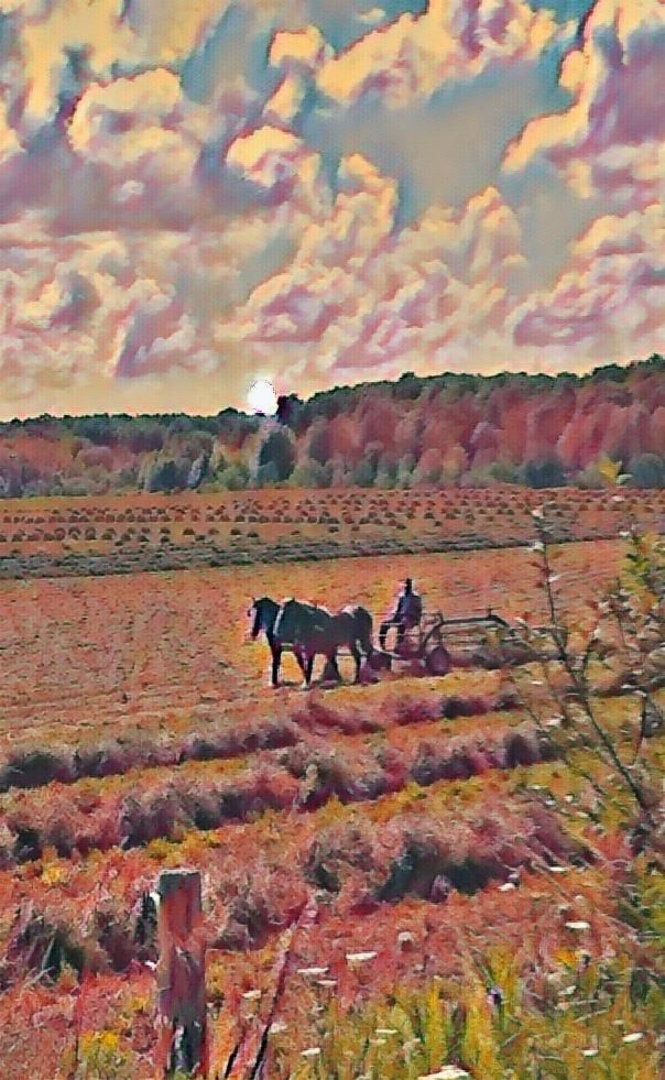 Getting lost in Amish paradise — a photo post by Shaun on DeHub