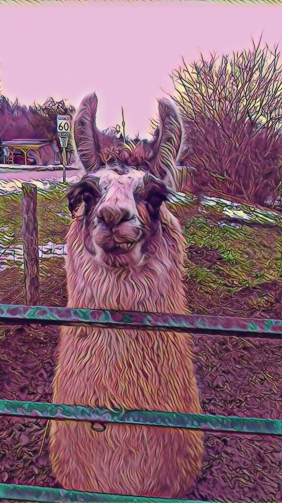 Have a great day — a photo post by Shaun on DeHub