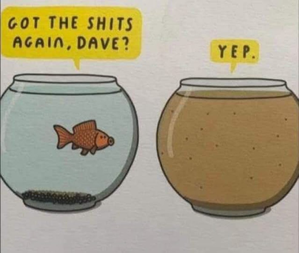 Dave 💩 — a photo post by Mart Vader on DeHub