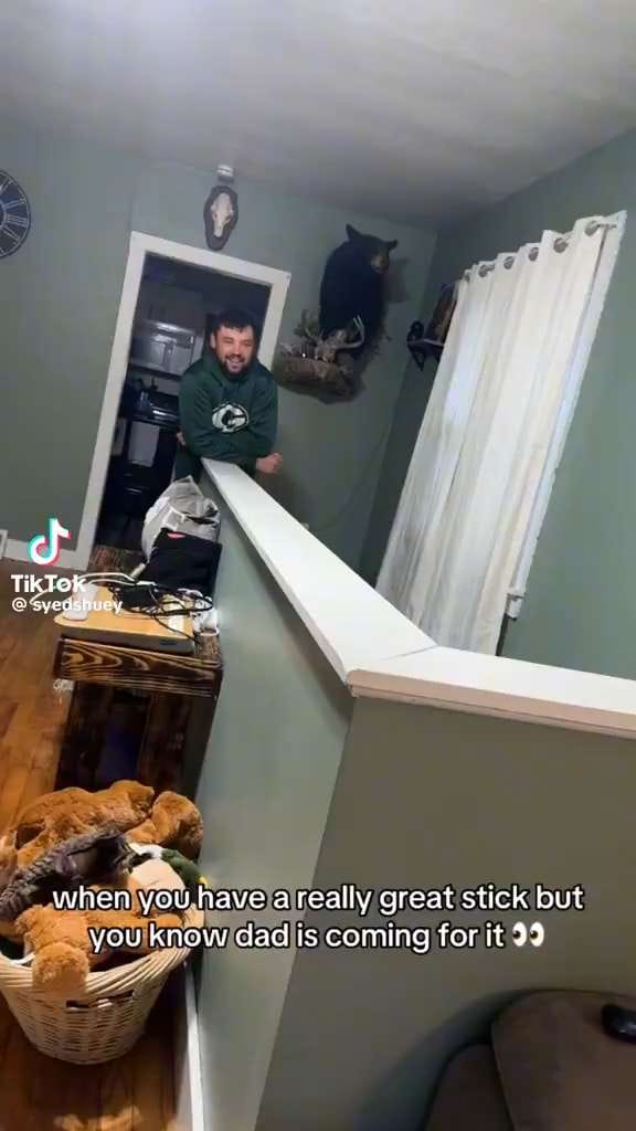 Proud doggy — a video by Viral Central on DeHub