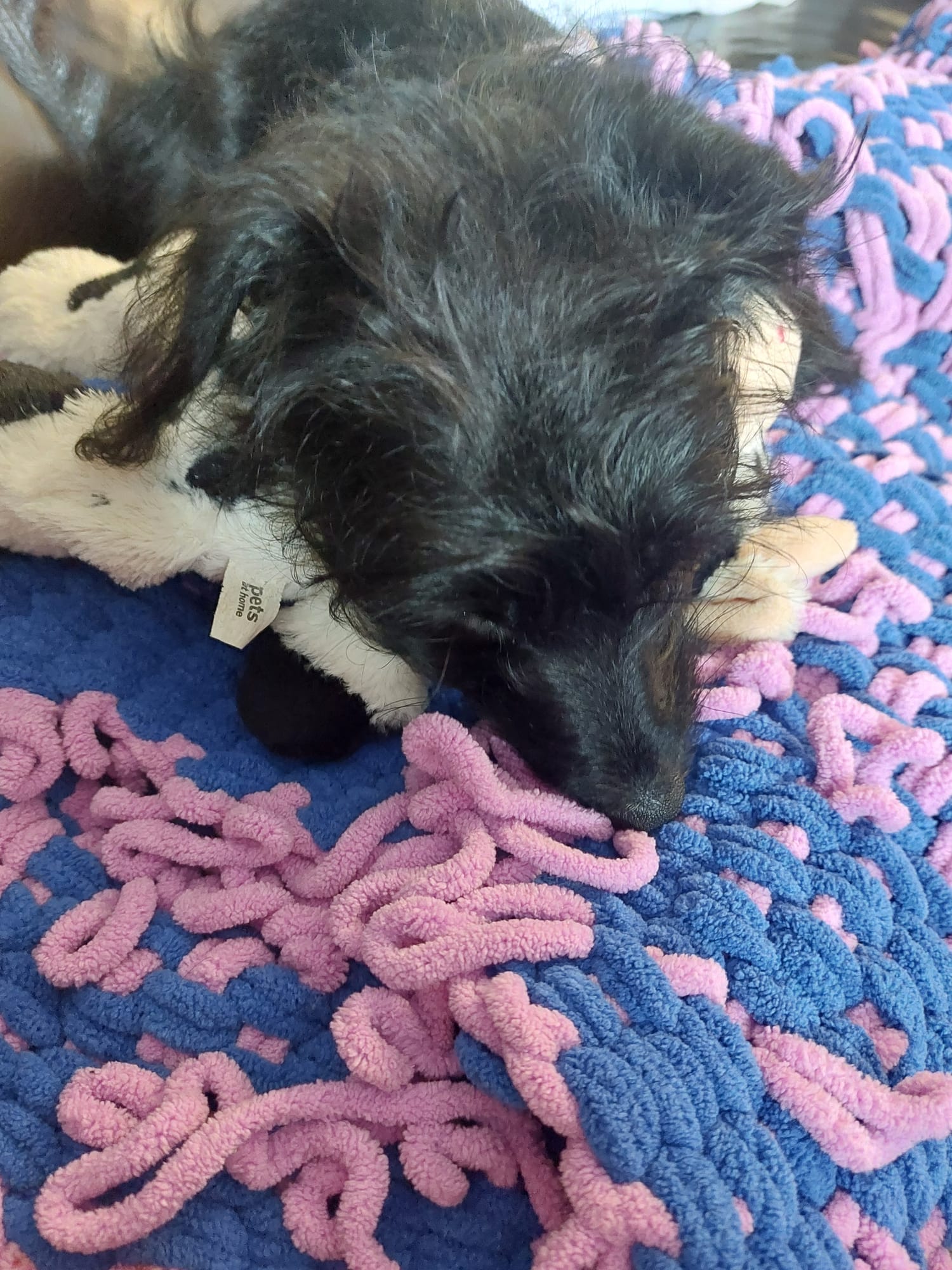 Cuteness overload — a video by Diane on DeHub