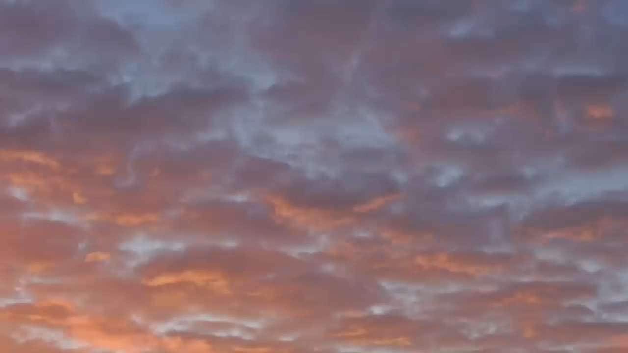 Song🎵 — a video by Sherdil on DeHub