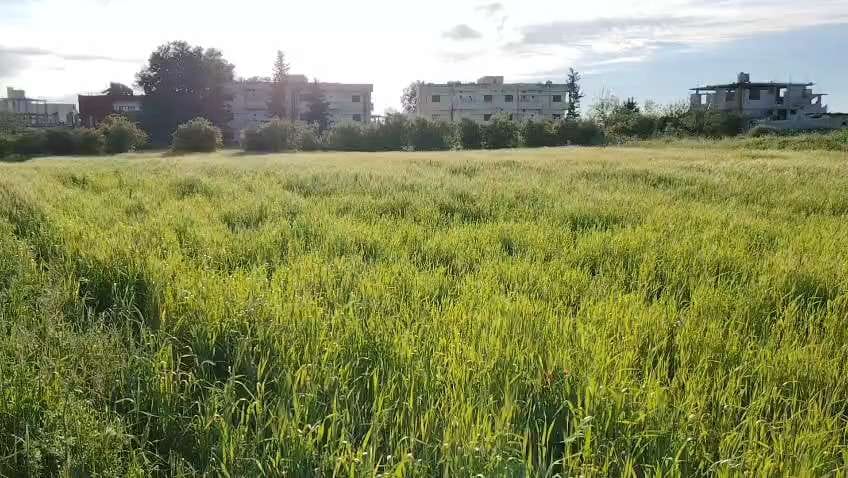 My land and my country. — a video by DANDASHI on DeHub