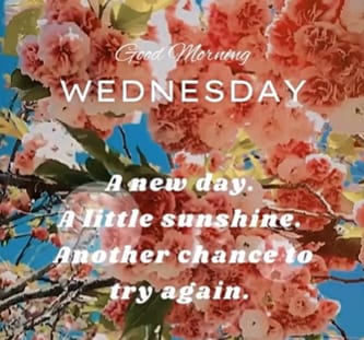 Good morning ☕️☕️☕️