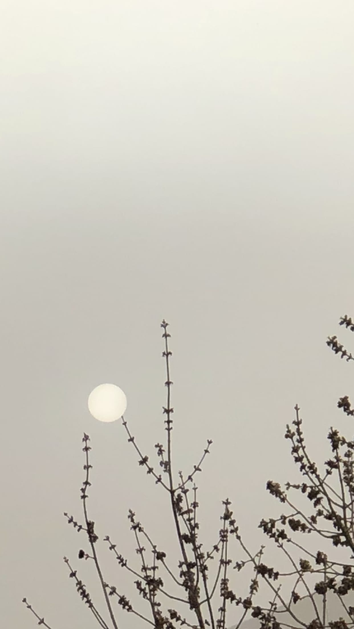 the moon is dark — a video by The Armor on DeHub