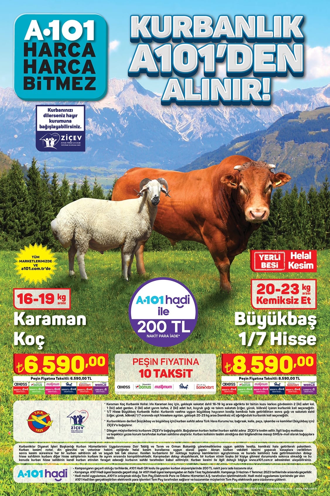 Video #441 by Onur ALTUNAY on DeHub