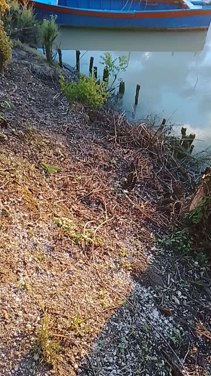 Love nature👽♥️👽