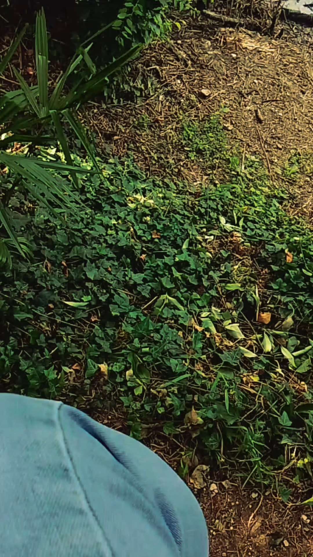 Life👽♥️👽 — a video by LiberoArbitro on DeHub