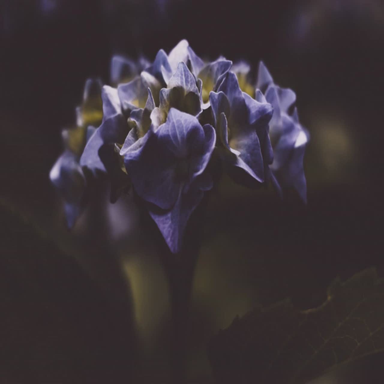 All For You — a video by Storm Comet on DeHub