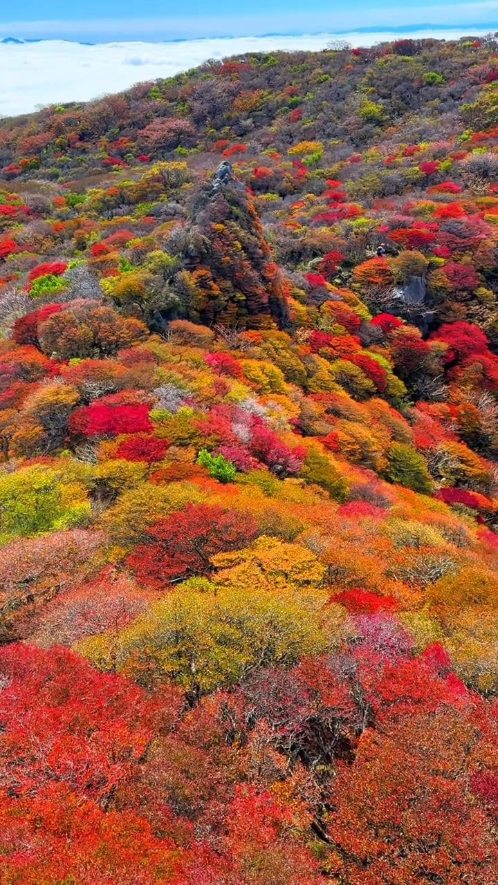 九州No.1の紅葉🍁 — a video by Ken210 on DeHub