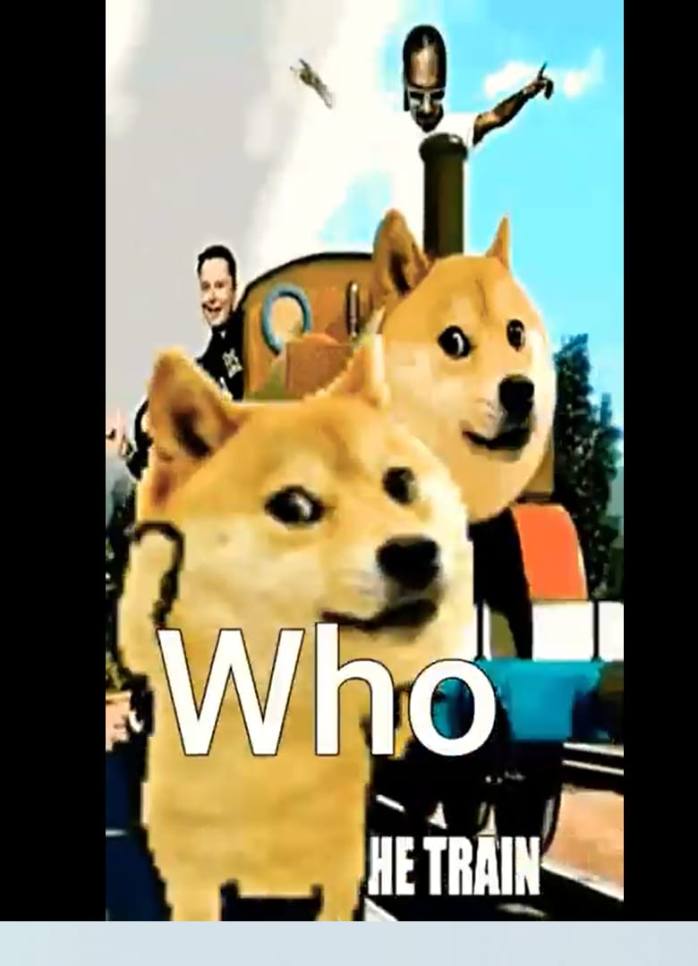 Catdoge the new MEMETOKEN funny — a video by congta videa on DeHub
