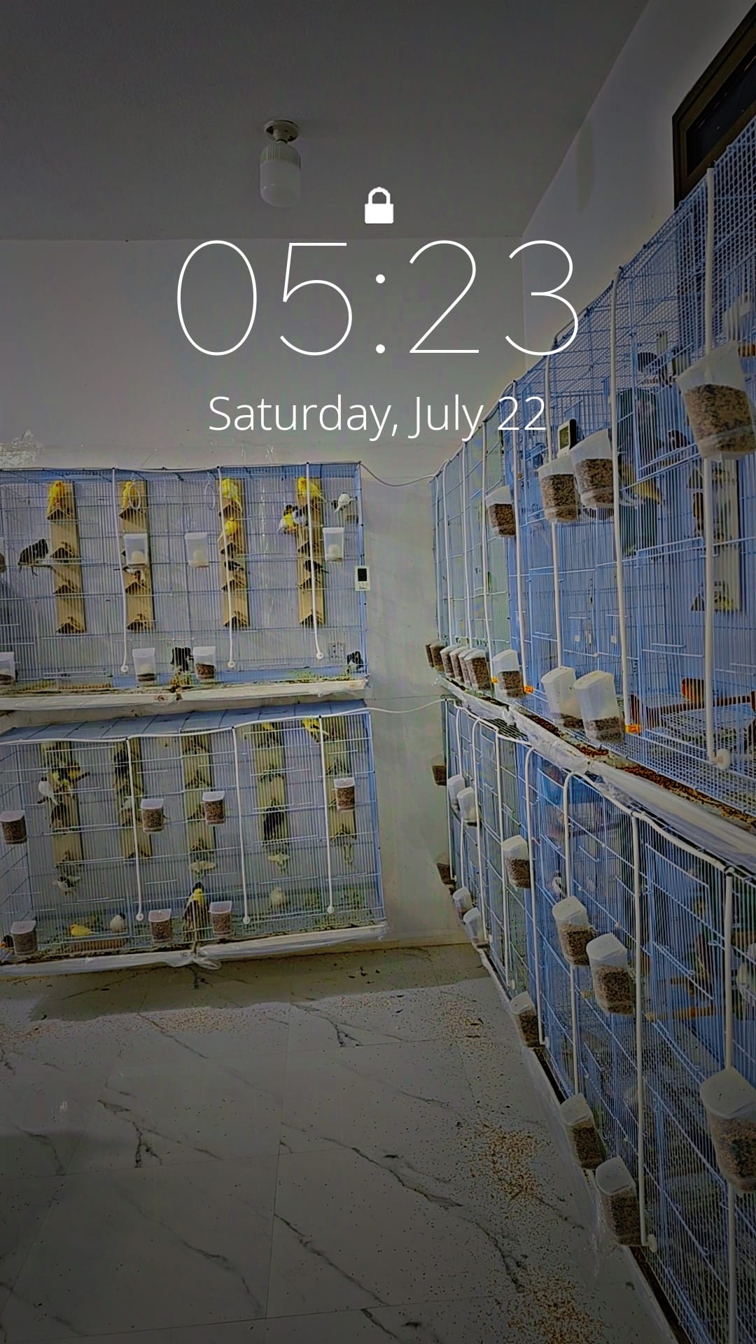 لا تراهن — a video by Malek alhazain on DeHub