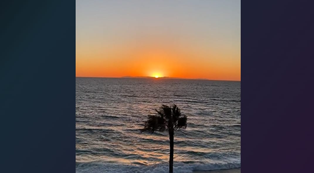 Sunset and Palm Trees 🌴 - Living Near the Beach 🏖️