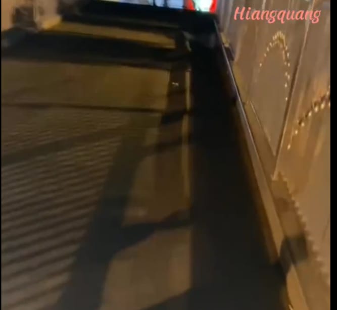 i take dog an extra walk — a video by hiangquang on DeHub