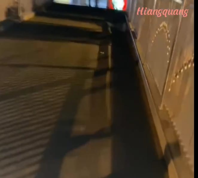 I Take a dog extra walk — a video by hiangquang on DeHub