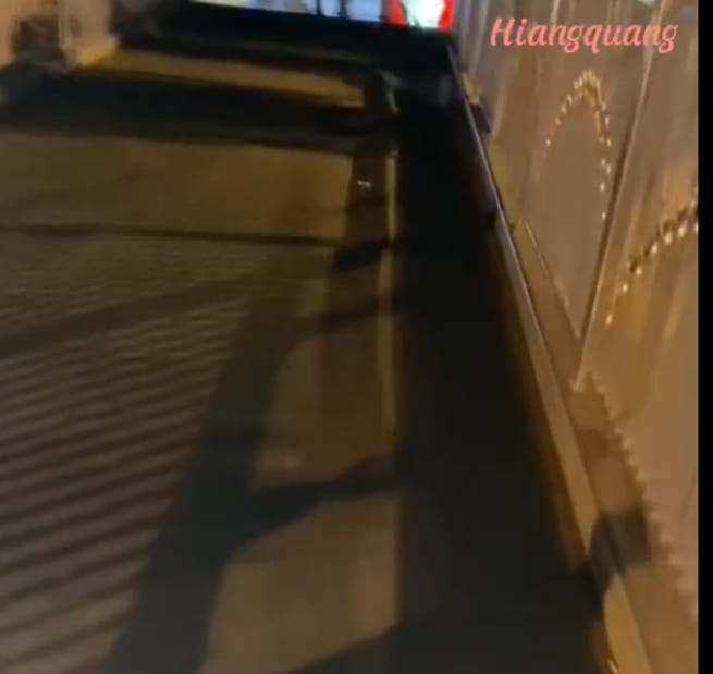 I Take a dog for an extra walk — a video by hiangquang on DeHub