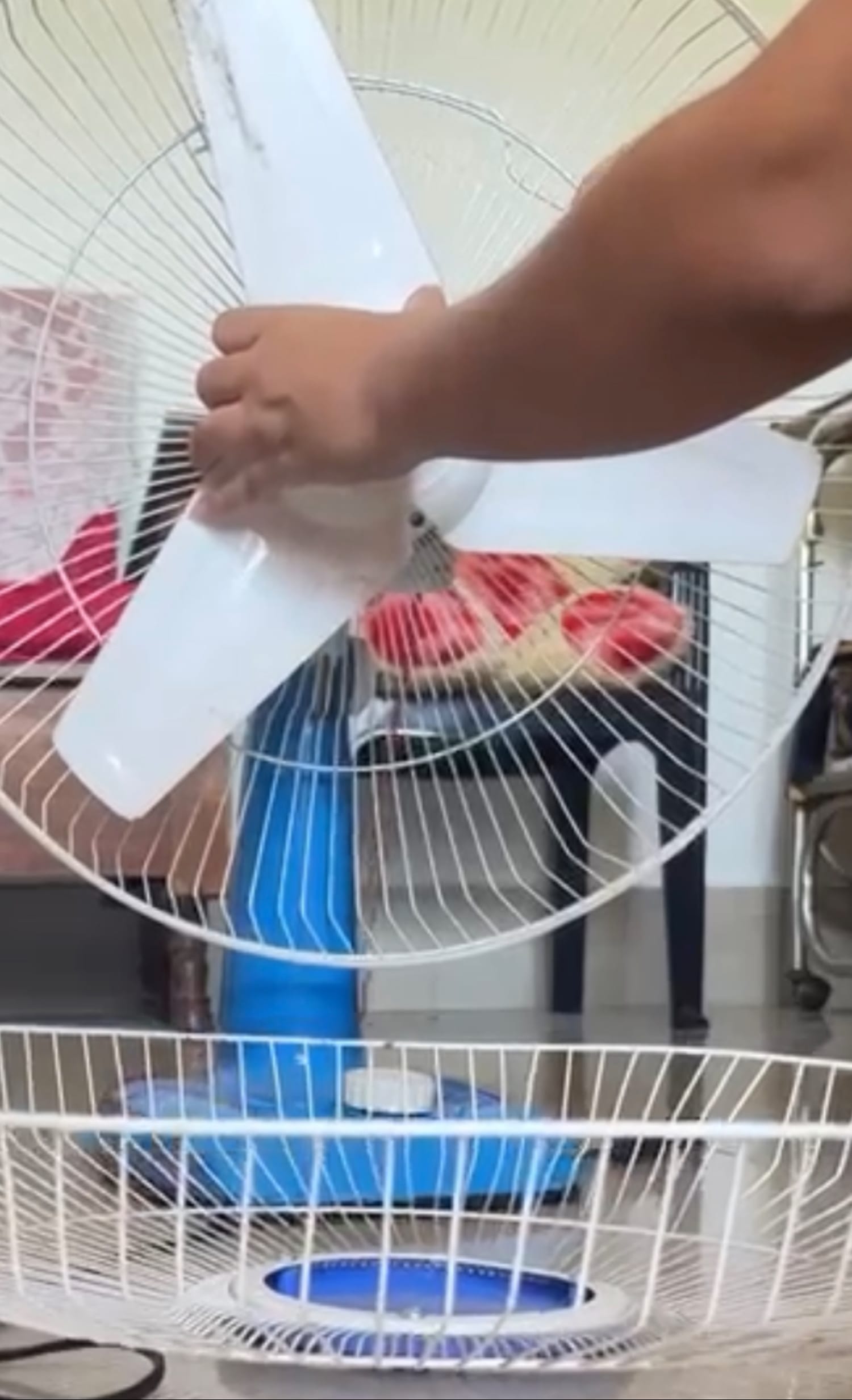 Fix something broken for someone — a video by Bandana koirala on DeHub