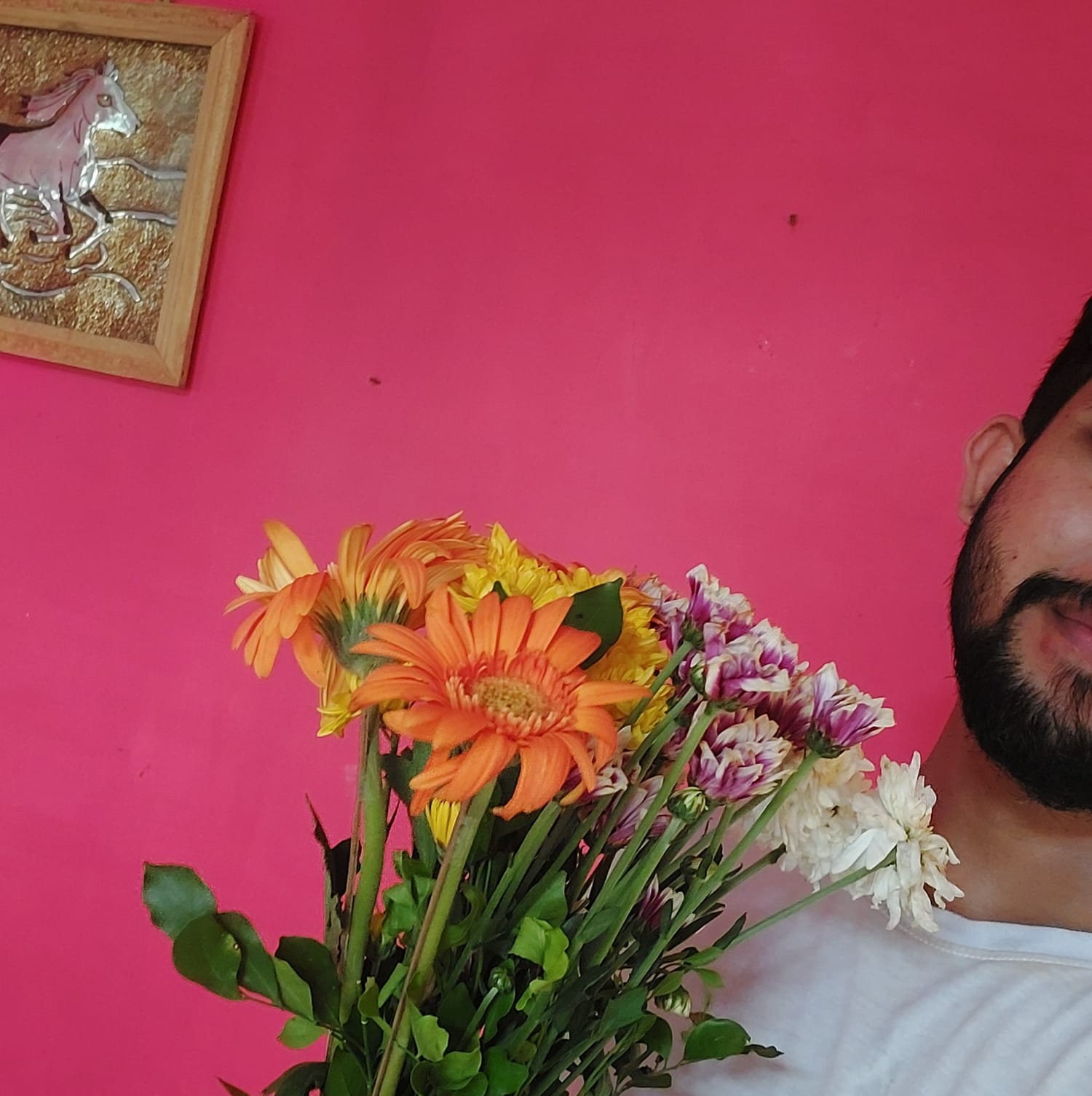 Send your crush some flowers and DM — a video by Aparupa Kar on DeHub