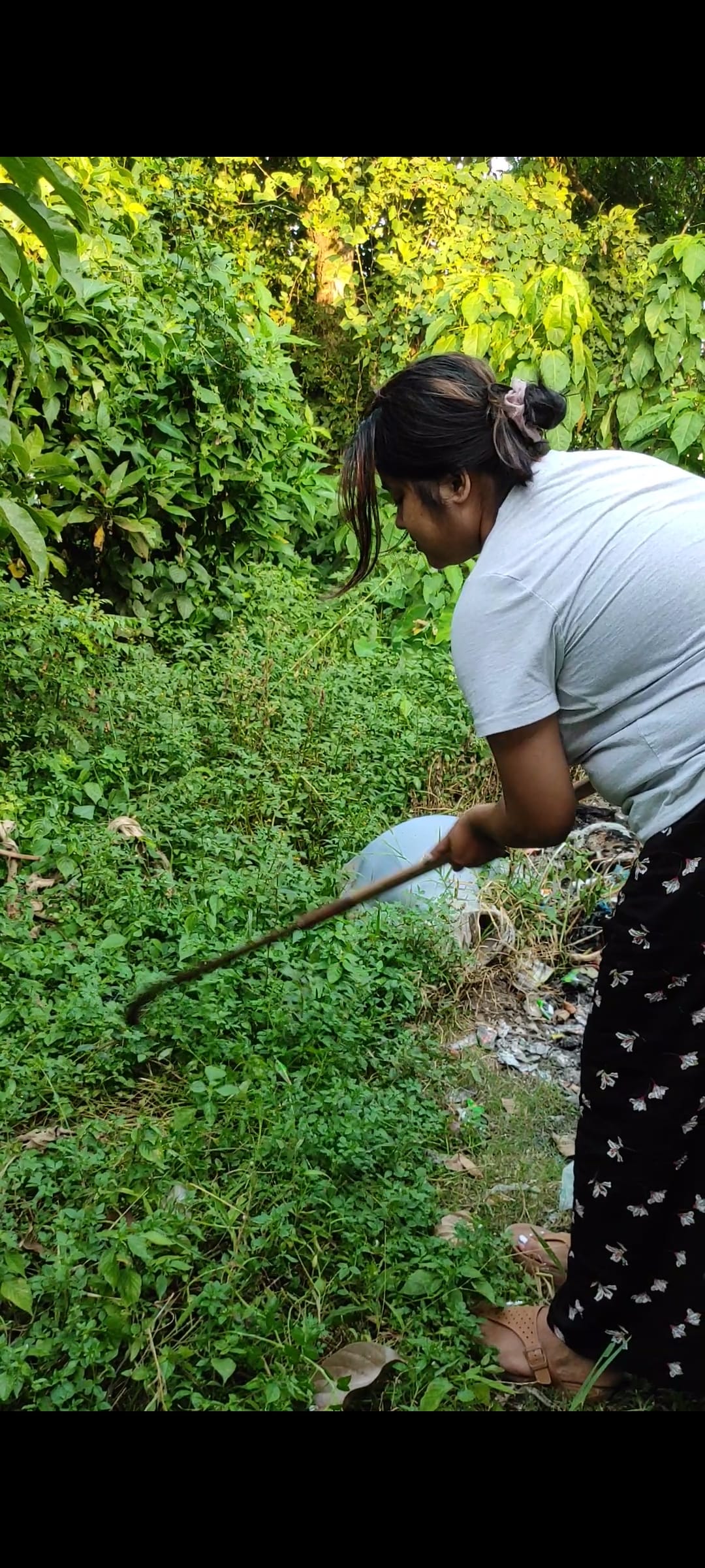 Mow an overgrown lawn — a video by Aparupa Kar on DeHub
