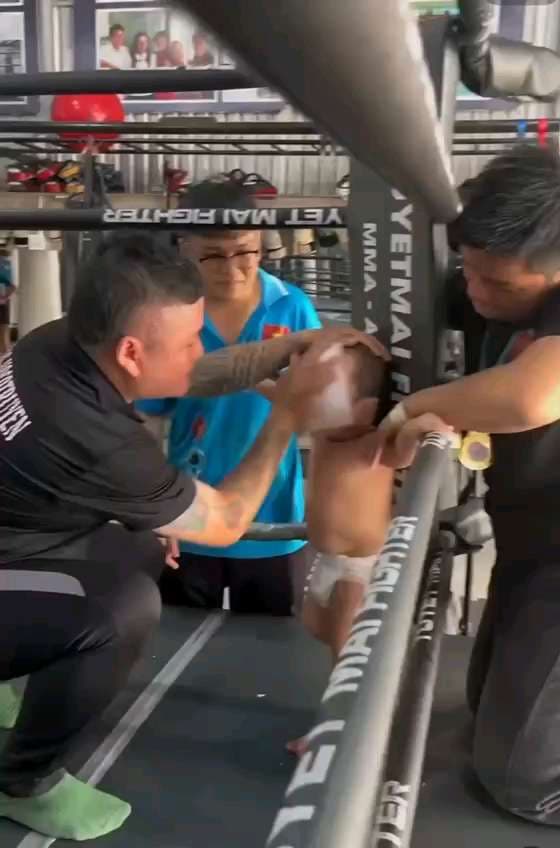 MMA Baby — a post by phake1368 on DeHub